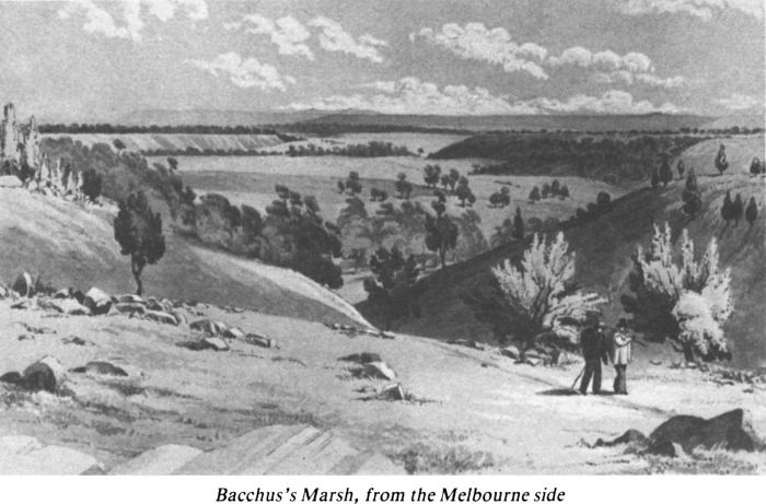 Bacchus’s Marsh, from the Melbourne side [painting]