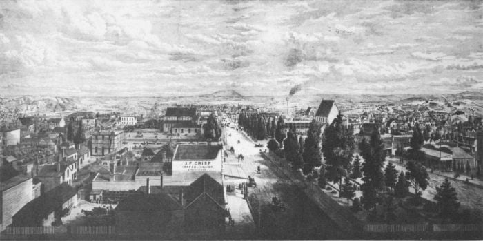 Ballarat from the Fire Brigade Tower c. 1870 [lithograph?]