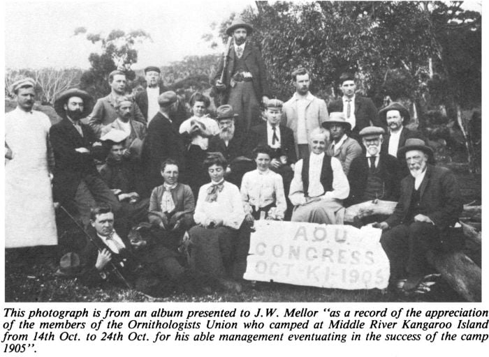 This photograph is from an album presented to J. W. Mellor “as a record of the appreciation of the members of the Ornithologists Union who camped at Middle River Kangaroo Island from 14th Oct. to 24th Oct. for his able management eventuating in the success of the camp 1905”. [photograph]