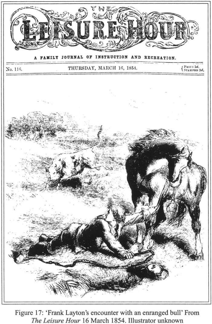 Figure 17: ‘Frank Layton’s encounter with an enraged bull’ From The Leisure Hour 16 March 1854. Illustrator unknown. [cover]