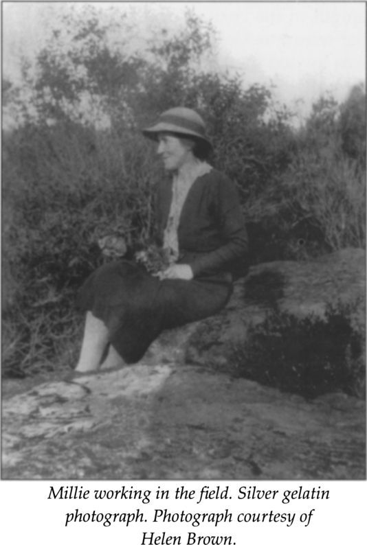 Millie working in the field. Silver gelatin photograph. Photograph courtesy of Helen Brown. [photograph]