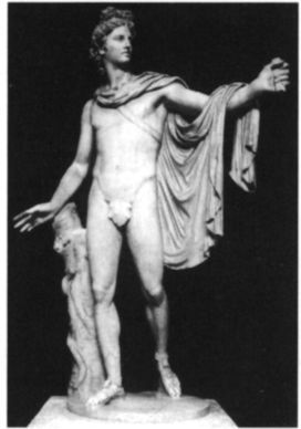 Apollo Belvedere, Musei Vaticani, Rome. Collection of Ann Galbally. [photograph]