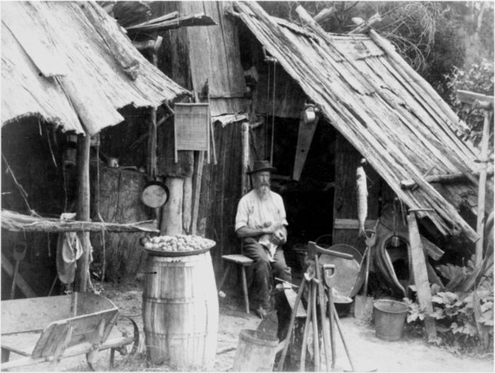 Nicholas Caire, photographer. A Selector's Hut in Gippsland. [ca. 1886] Albumen silver photograph. H2471. La Trobe Picture Collection. [photograph]