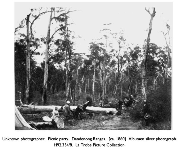 Unknown photographer. Picnic party. Dandenong Ranges. [ca. 1860] Albumen silver photograph. H92.354/8. La Trobe Picture Collection. [photograph]