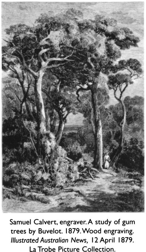 Samuel Calvert, engraver. A study of gum trees by Buvelot. 1879. Wood engraving. Illustrated Australian News, 12 April 1879. La Trobe Picture Collection. [wood engraving]