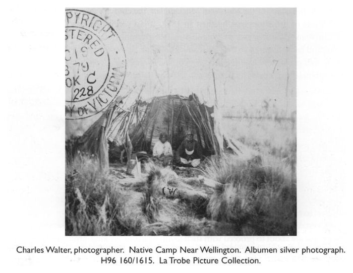 Charles Walter, photographer. Native Camp Near Wellington. Albumen silver photograph. H96 160/1615. La Trobe Picture Collection.
