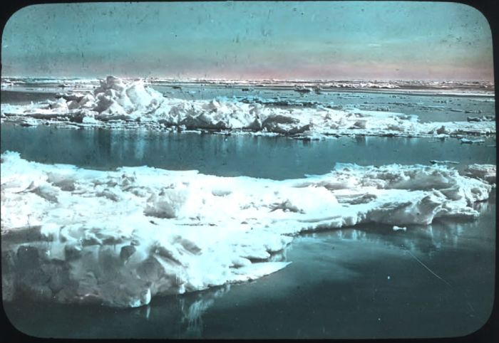 Pack pressing in near Cape Evans. Hand-coloured glass lantern slide, ca. 1914-ca. 1917. [Andrew] Keith Jack, compiler. H82.45/50. La Trobe Picture Collection. [hand-coloured photograph]