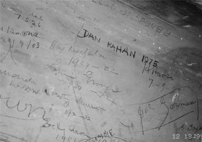 Photograph of detail of a plaster wall covered with handwritten graffiti, on a landing at the base of the dome at the State Library of Victoria. [photograph]