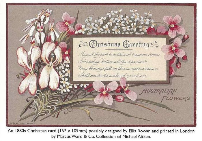 An 1880s Christmas card (167 x 109mm) possibly designed by Ellis Rowan and printed in London by Marcus Ward & Co. Colour illustration of flora, with greeting text. Collection of Michael Aitken. [printed card]