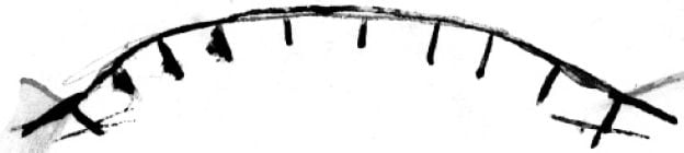 Figure 13 Plan view of small fishing weir with a series of angled stake braces to help support the structure against the water current (Robinson journal, 30 April 1841). Courtesy of the Mitchell Collection, State Library of New South Wales [drawing]