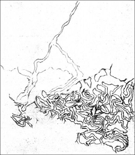Top: Figure 15 Pencil sketch plan of an extensive eel channel facility covering 6ha, near Mt William (Robinson journal, 9 July 1841). Courtesy of the Mitchell Collection, State Library of New South Wales [drawing]