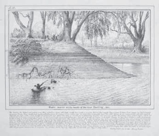 Ludwig Becker, ‘Water-marks on the banks of the River Darling’. Ink drawing, 14 January 1861. Manuscripts Collection, H16486. [drawing]