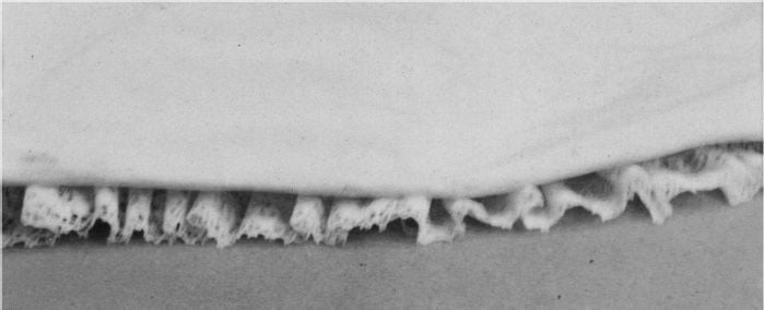 Close-up showing the detail of the balayeuse (trail) of the wedding dress in main photograph on page 131. [Photograph]