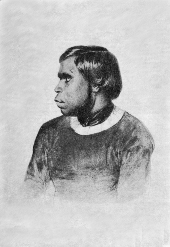 Ludwig Becker, Portrait of Billy, a native from Port Fairy. [painting]